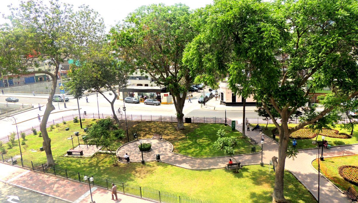 Vista Parque 02