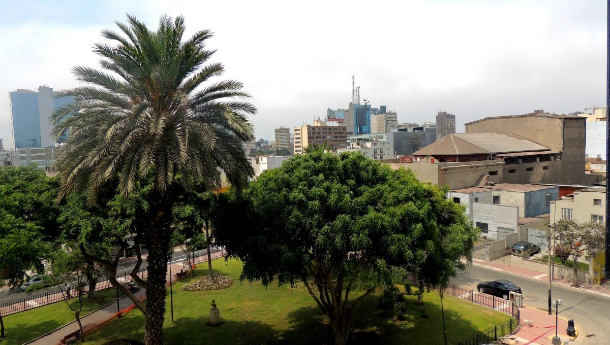 Vista Parque